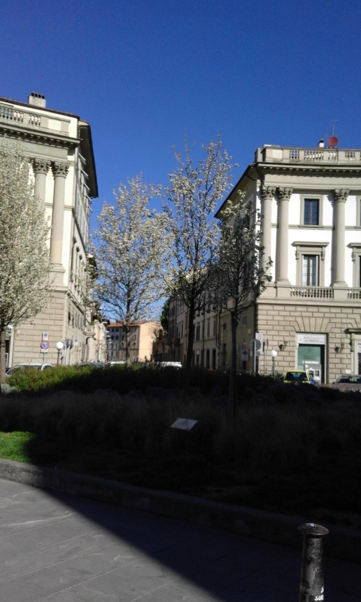 Apartamento Lovely, Downtown Florence, La Magnolia *